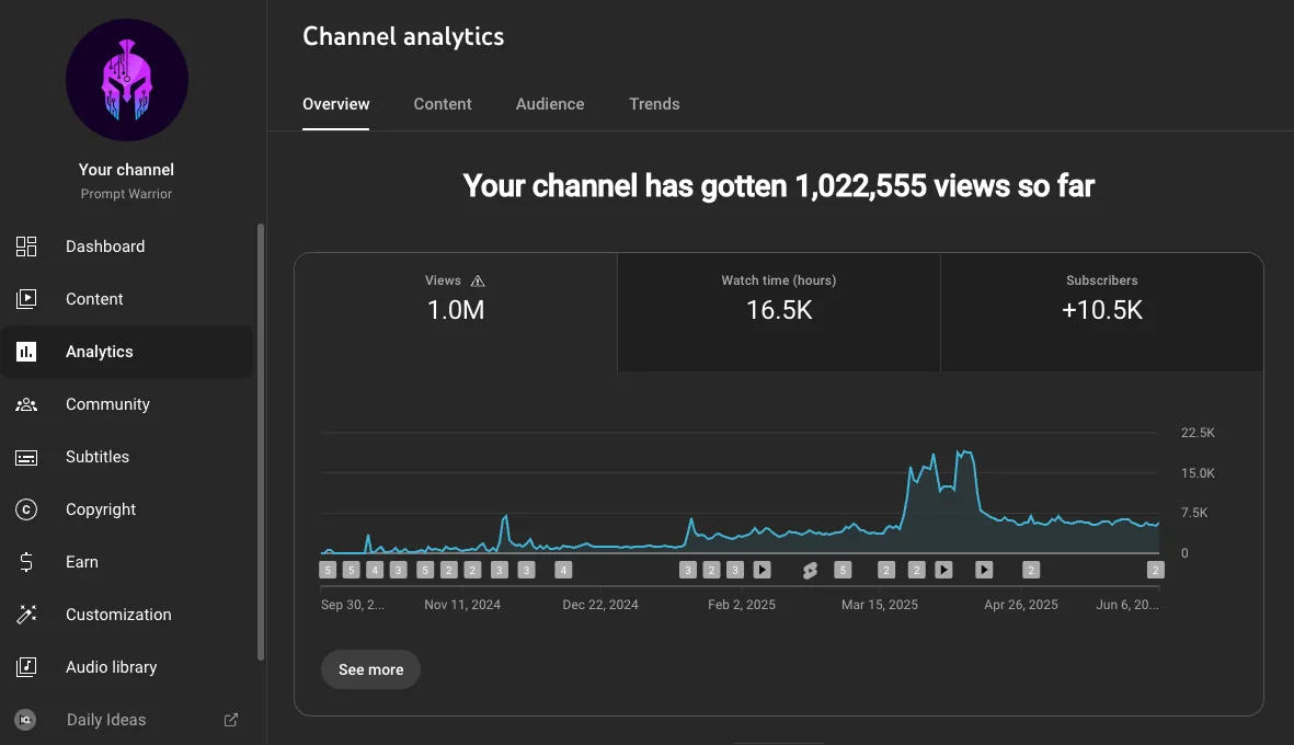 YouTube channel analytics overview